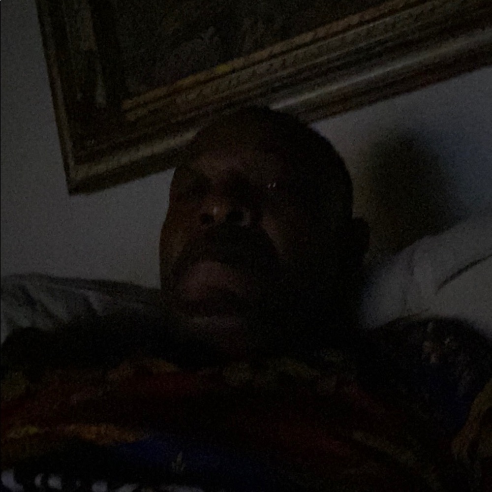 NWT Valentino Snake Print Leather Runner Sneakers